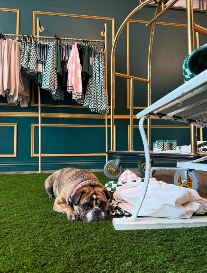 A look inside Uptown Marion's Sloane Boutique with green walls, gold accents, clothing hanging and a dog